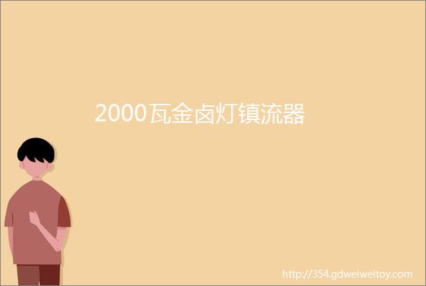 2000瓦金卤灯镇流器